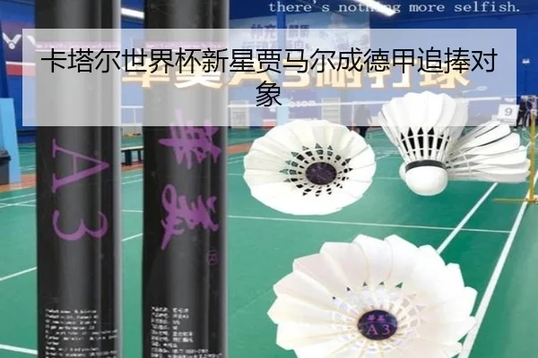 卡塔尔世界杯新星贾马尔成德甲追捧对象